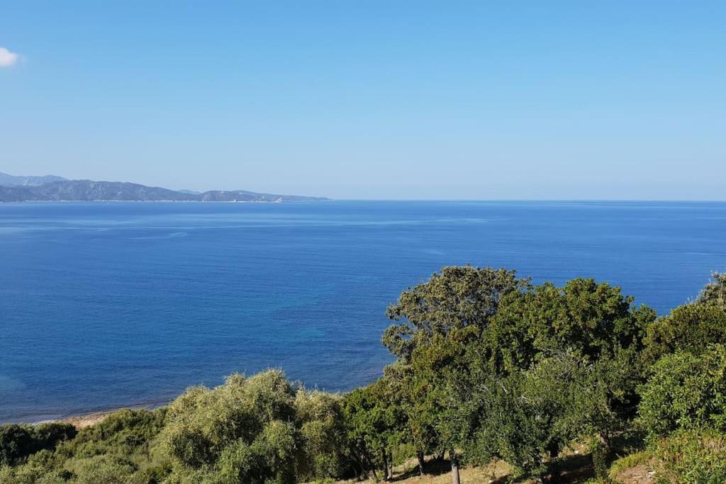 Casa Marine Du Soleil 60 Appartement Patrimonio Buitenkant foto